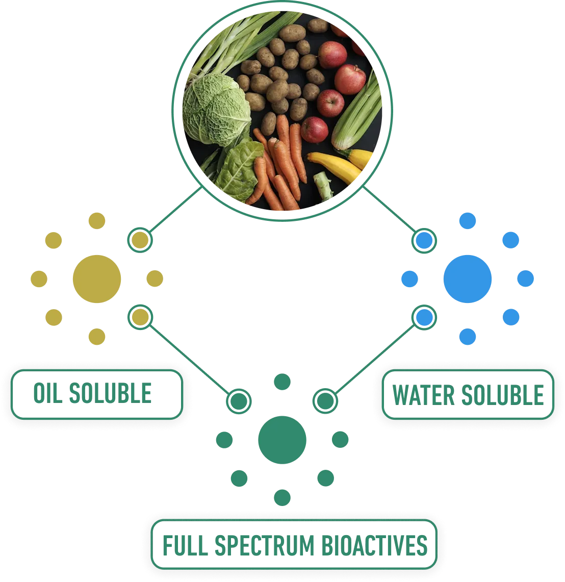 Full-spectrum bioactives map